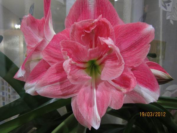 Resize of IMG_0321.JPG