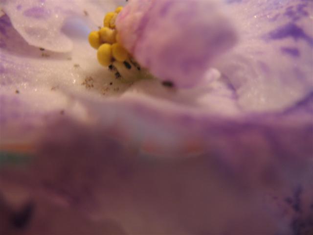 IMG_1032 (Small).jpg