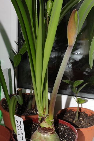 IMG_5392_новый размер.JPG