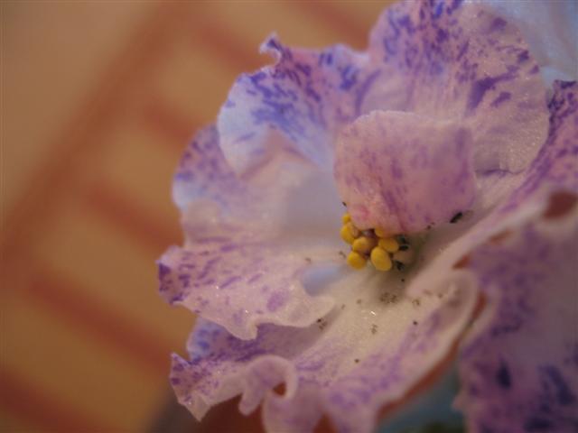 IMG_1031 (Small).jpg