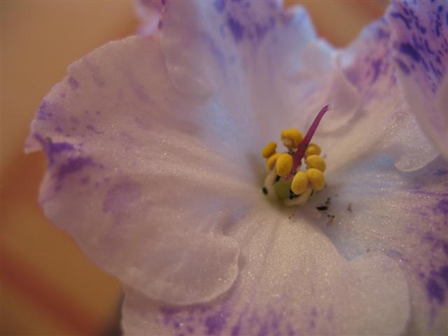 IMG_1030 (Small).jpg