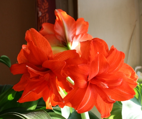 Копия IMG_4931.jpg