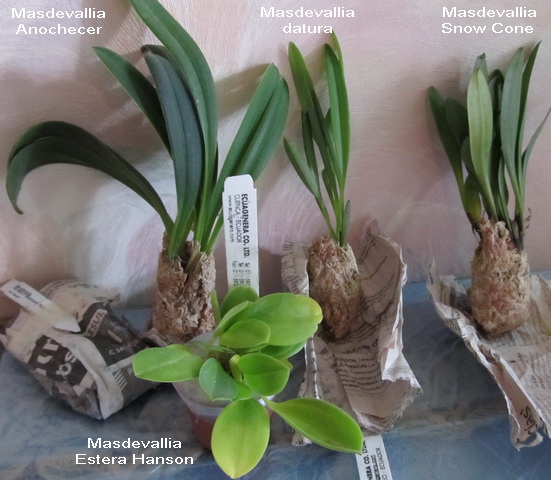 Изображение 025.jpg