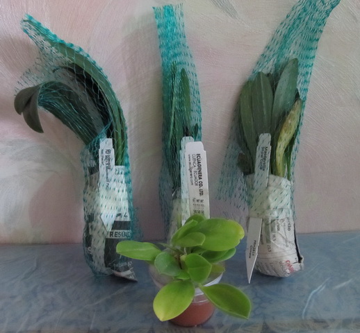 Изображение 024.jpg