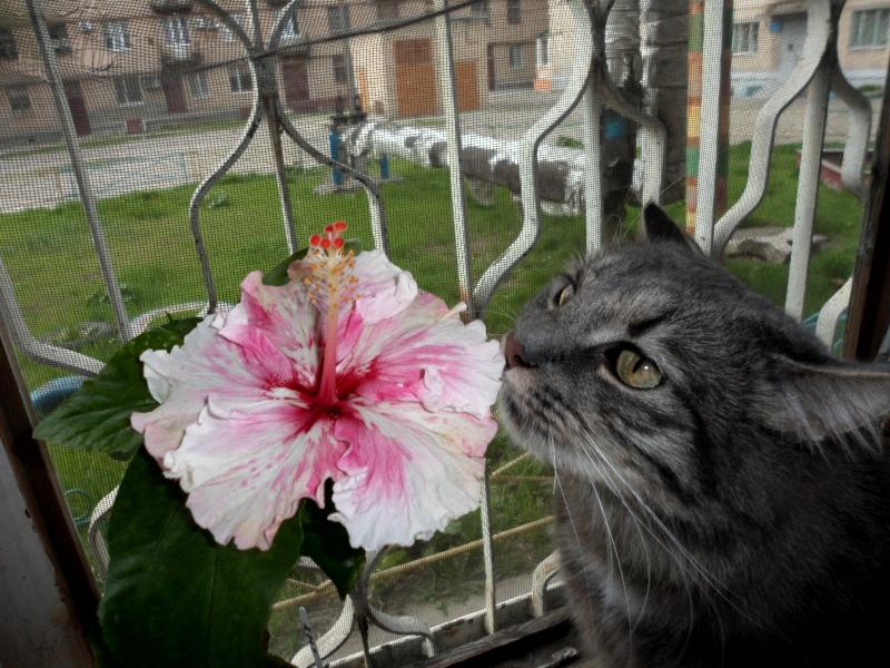 зоя и Ванда .JPG