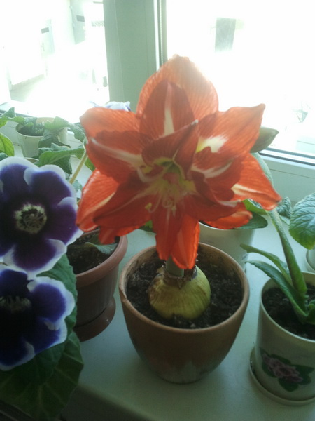 2012-05-04_10.45.06[1]_новый размер.jpg