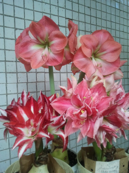 2012-06-15 18.49.58_новый размер.jpg