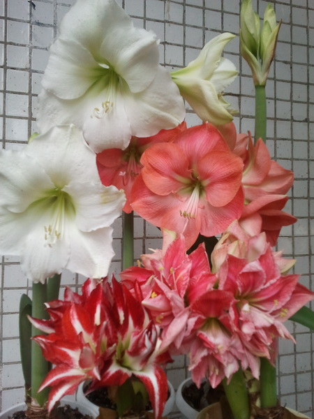 2012-06-15 18.52.30_новый размер.jpg