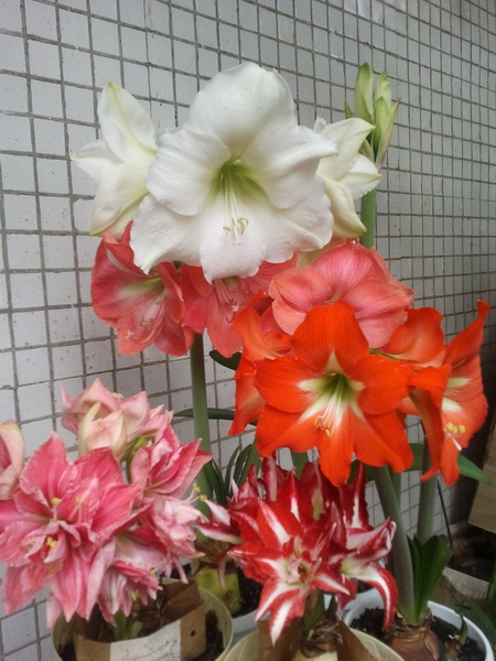 2012-06-15 18.54.09_новый размер.jpg