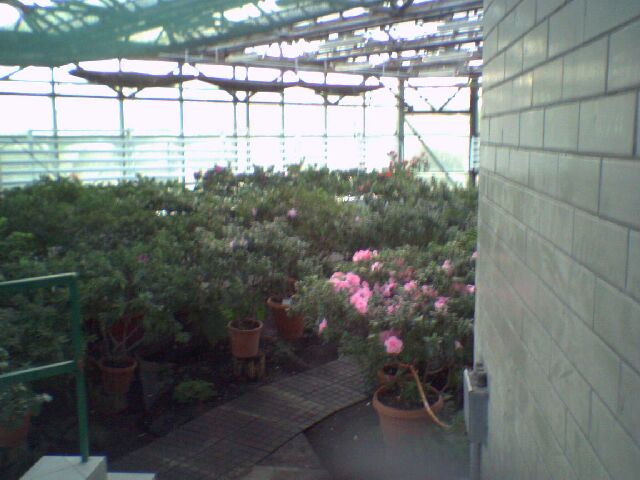 Вид из-за стеклянной двери... :))))