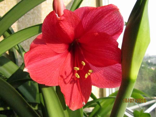 Resize of Изображение 004.jpg