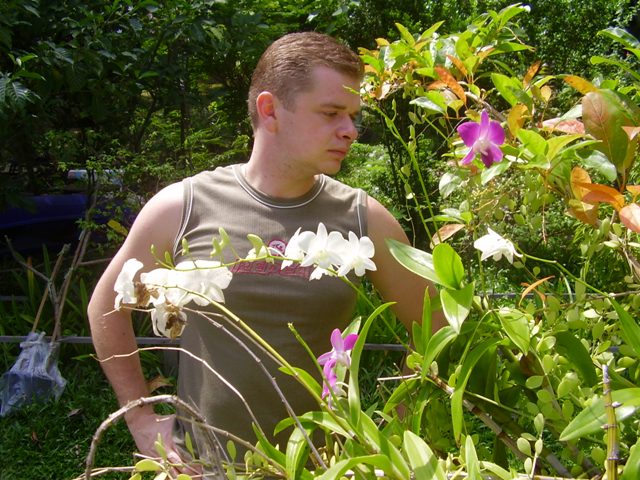 Хочу дома такие кустики:)