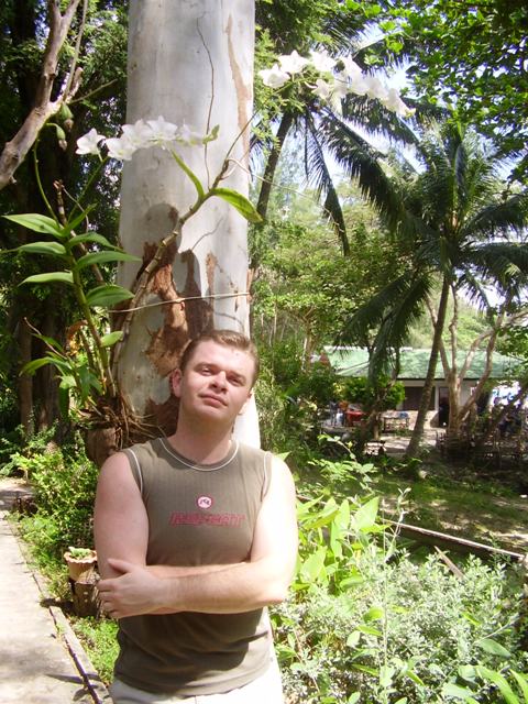 Вот так орхочкам  хорошо в природе