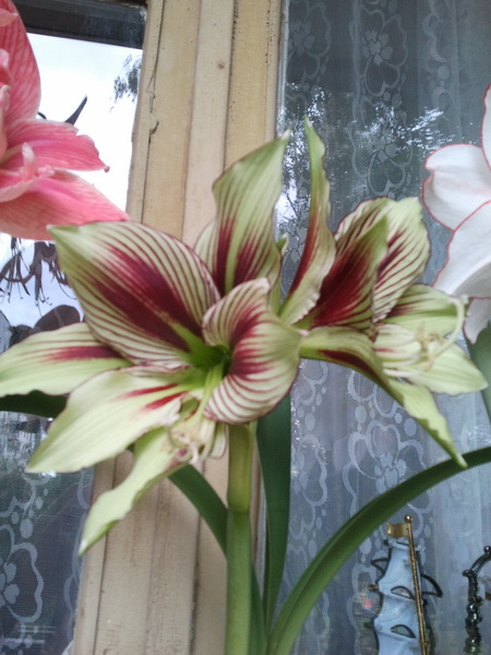 2012-07-16 17.44.30_новый размер.jpg