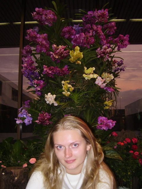 Любителям Ванд посвящается