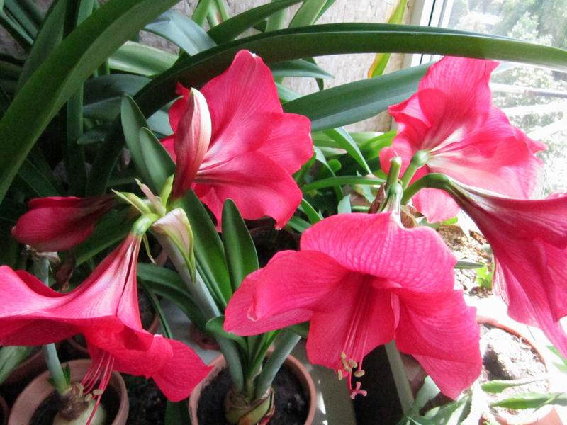 Resize of IMG_0538.JPG