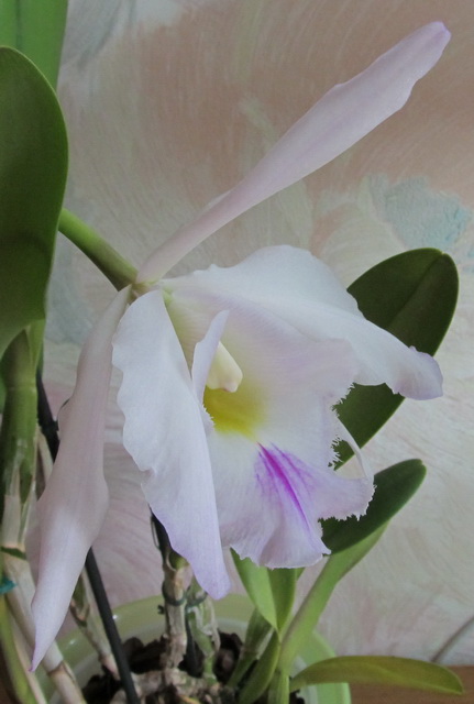 Изображение 003.jpg