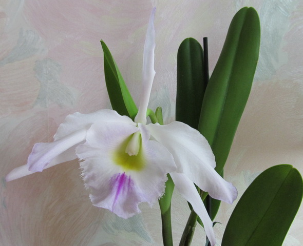 Изображение 001.jpg