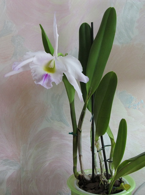 Изображение 002.jpg