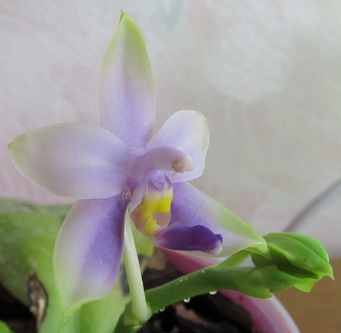 Изображение 005.jpg