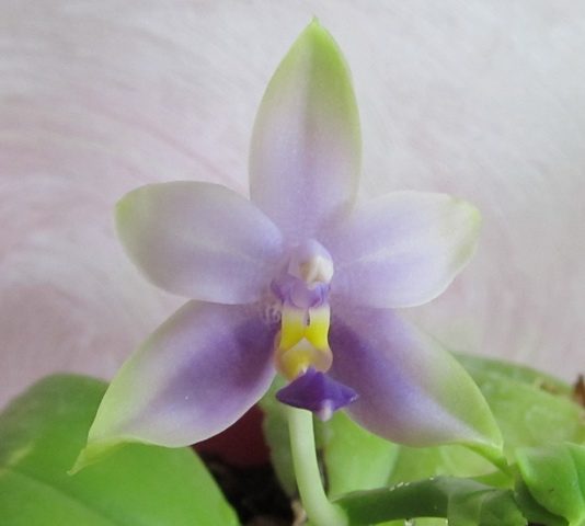 Изображение 004.jpg