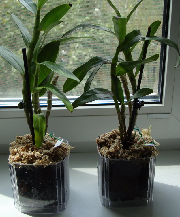 Изображение 1647.jpg