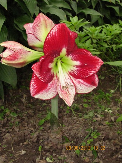 Изображение11 377.jpg