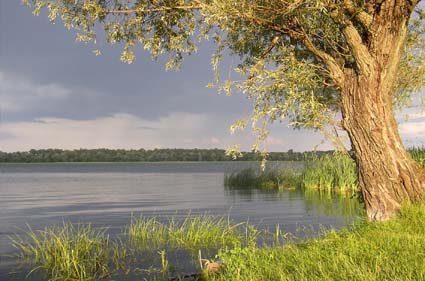 После грозы