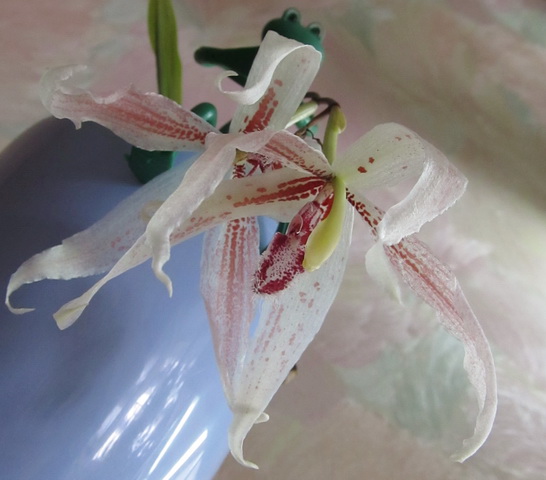 Изображение 041.jpg