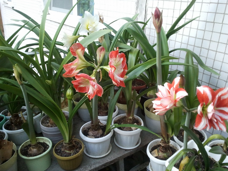 2012-08-21 18.36.12_новый размер.jpg