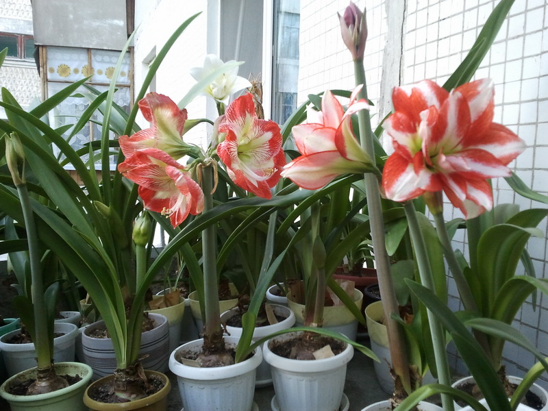 2012-08-21 18.35.38_новый размер.jpg