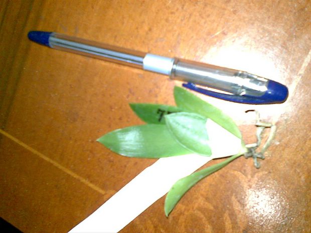 18092012(002) [%P].jpg