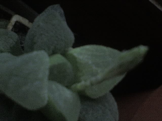 Чарли узнаёшь? :)