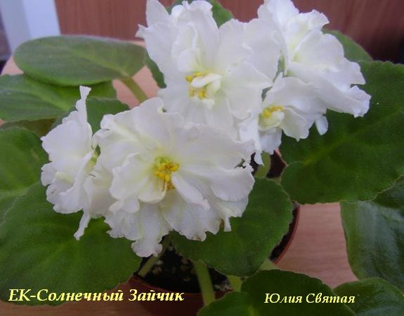 2006 09 12 17 45п.jpg