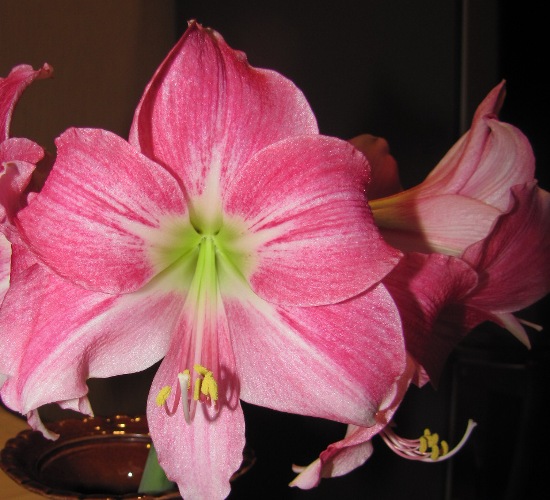 Изображение 329.jpg