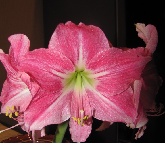 Изображение 328.jpg