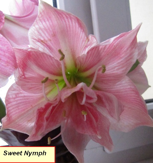 Изображение 348.jpg