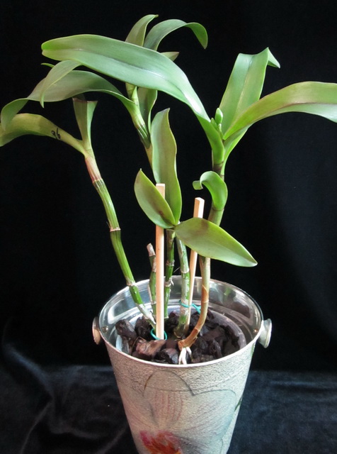 И сейчас, в полный рост