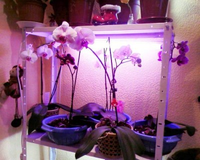 К сожалению,все не помещаются..