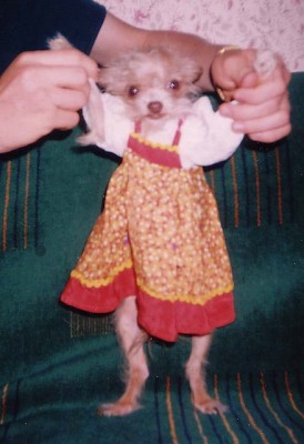 Это фото с другого форума... какая лапочка!