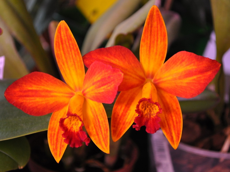 DSC_5172-для флрума.jpg