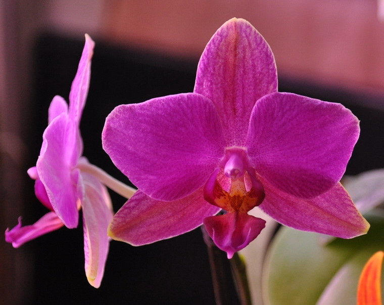 DSC_5169 для форума.jpg