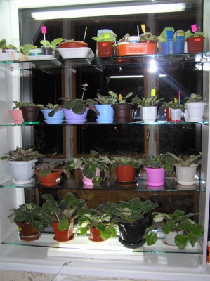 собсно сама конструкция