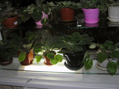 крупный план