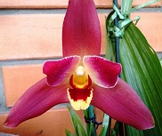 фото 11.06 012.jpg