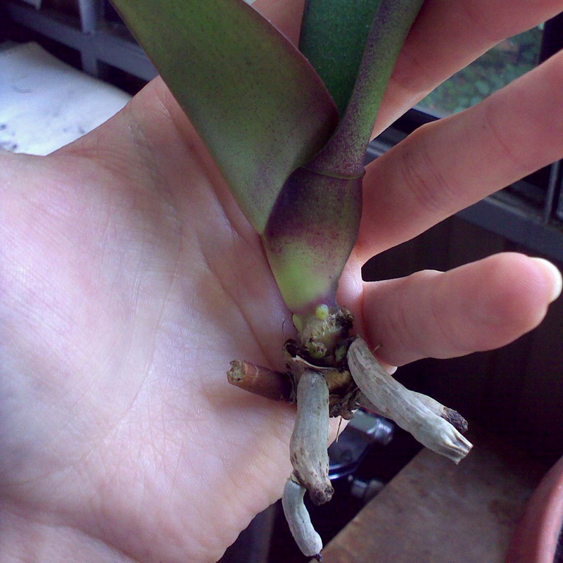 потрібна термінова допомога