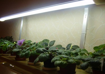 2006 09 09 22 04 1.jpg