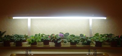 2006 09 09 22 04 2.jpg