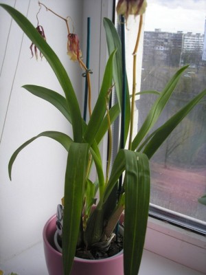 Вот такие мы