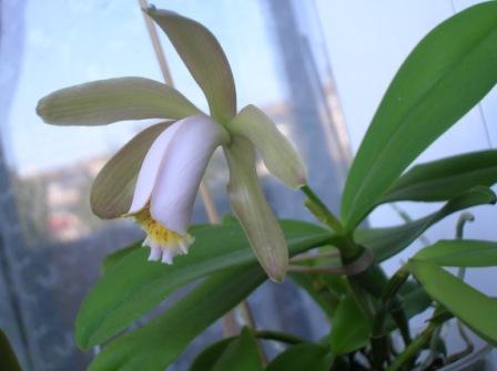 31. 20.08.13дд.JPG